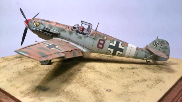 DSC_2973_zpsa1dfe65d