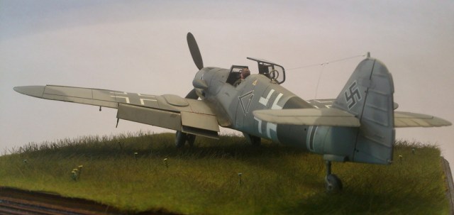 DSC_3533_zpsm2glcen6