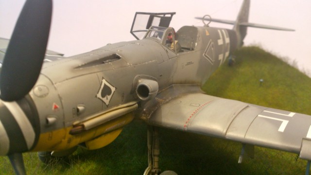 DSC_3552_zpssqautqql