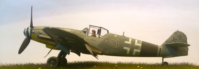 DSC_3556_zpscdwfqtgd