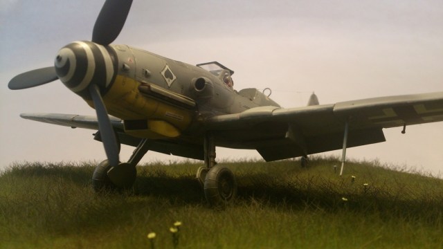 DSC_3571_zpsbgujcrxi