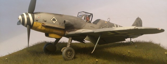 DSC_3604_zps2fl6fnnx